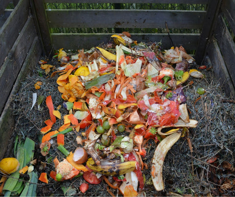 Why you should compost! International Compost Week from pelacase.com