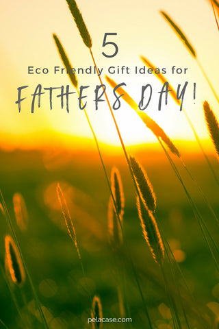 5 eco-friendly gifts for Father's Day pelacase.com