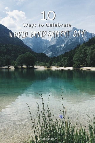 10 ways to celebrate world environment day from pelacase.com