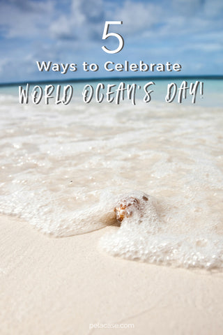 5 Ways to Celebrate World Oceans Day from pelacase.com