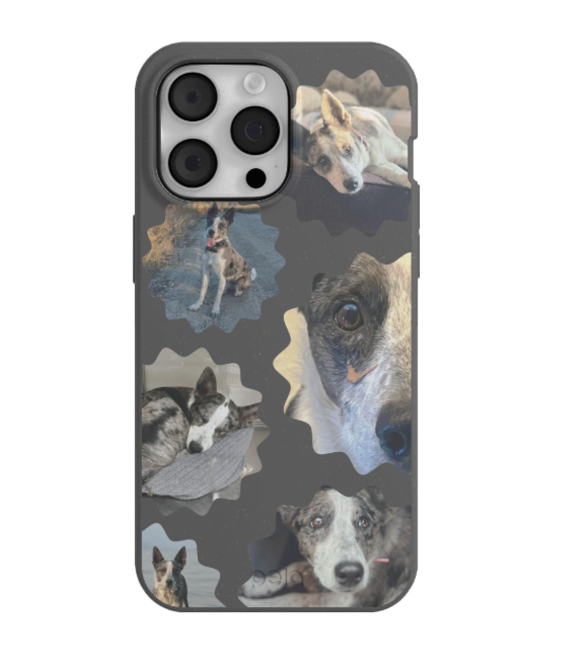Custom phone case with a collage of various dogs.
