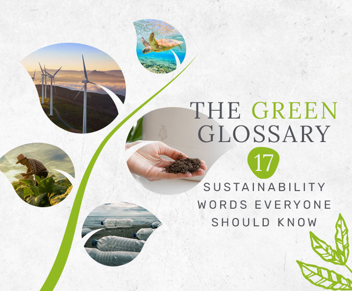 The Green Glossary: 17 Sustainability Words Everyone Should Know