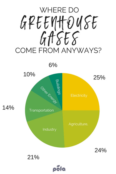 Where do greenhouse gases come from? 