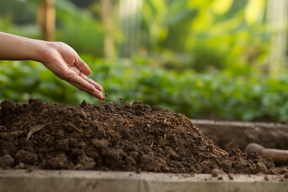 Role of composting
