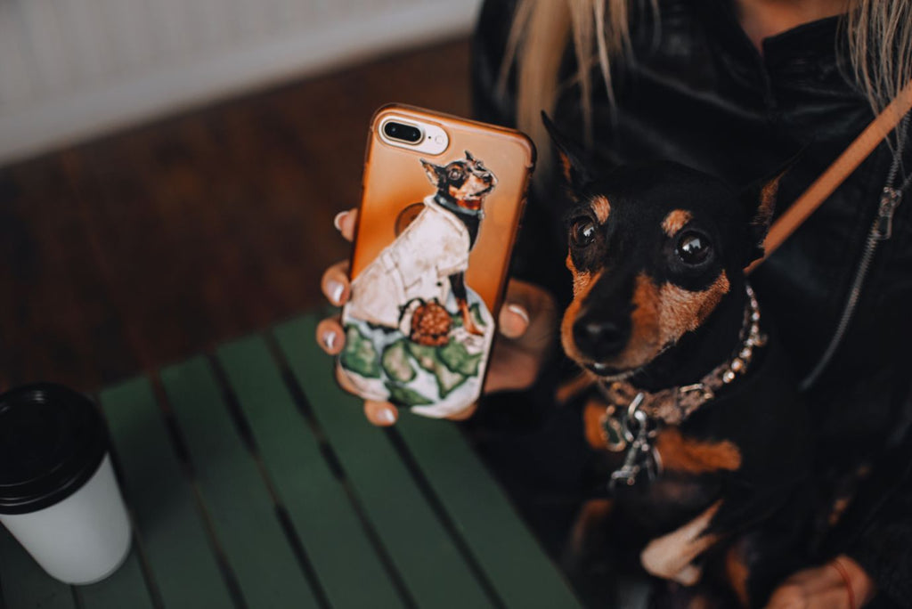 person holding an iphone with a picture of a dog on it next to a dog that looks just like the picture