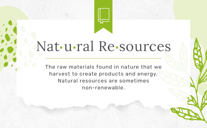 Natural Resources definition