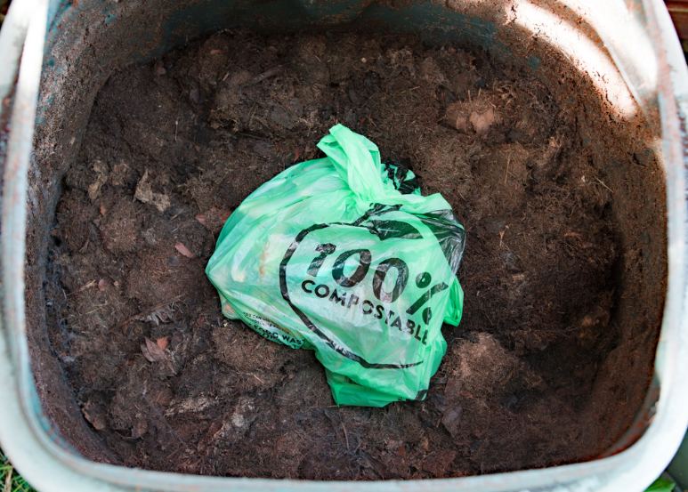 Compost bag tossed into green bin to take to industrial composting facility
