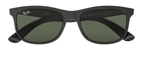 Ray-Ban RB 4202 Andy Pair Of Replacement sides