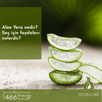 Ozonlabs Aloe Vera Nedir? Saç Bakımına Faydaları Nelerdir?