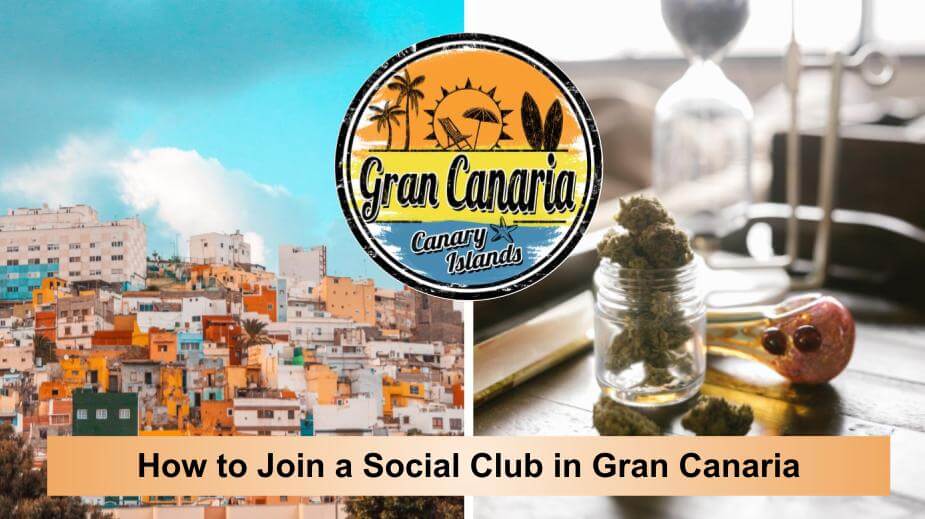 social club gran canaria tourist