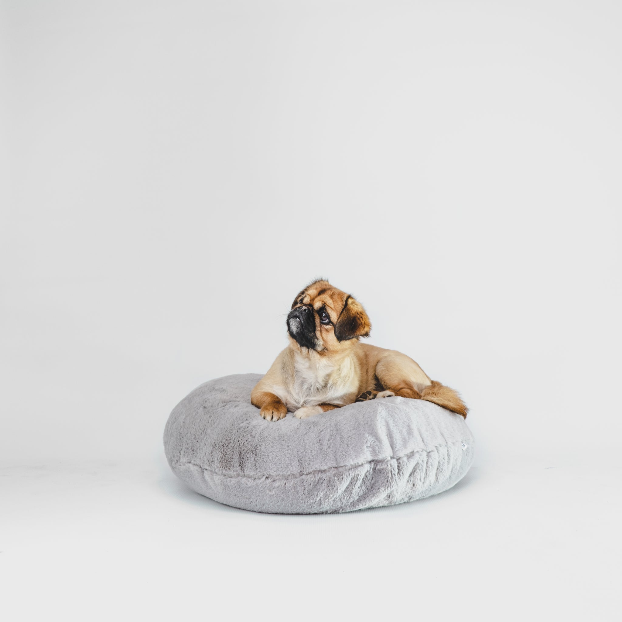 The BlankyBed - Urban Hound Social ™ 