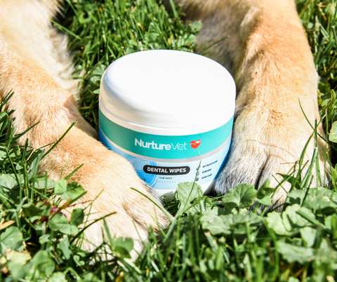 There's a solution that makes maintaining your dog's oral health a breeze – NurtureVet Dental Wipes