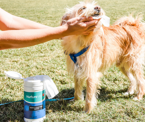 Say goodbye to the days of wrestling with complicated grooming routines. NurtureVet's Facial and Tear Stain Wipes make the task a breeze, providing a quick and easy solution to maintaining your dog's adorable visage.
