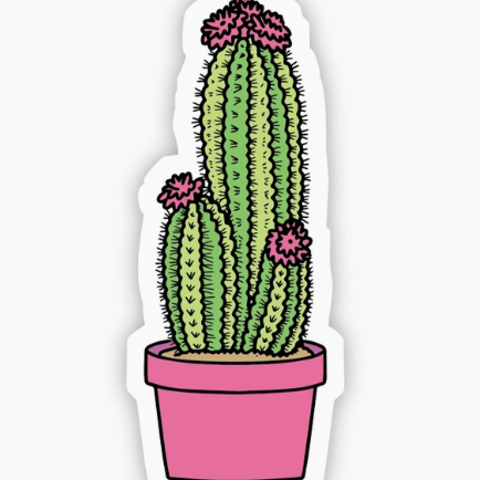 Flower Cactus Sticker – Wild Junkie