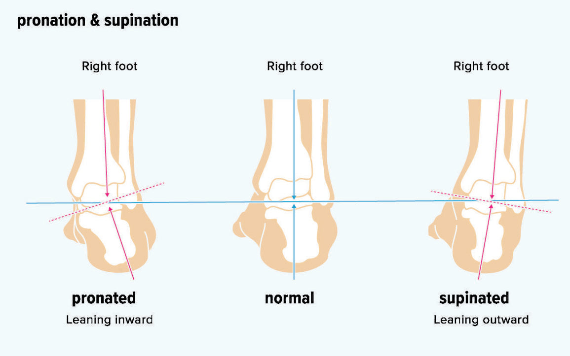 Pronation And Supination Foot Of The Rockies