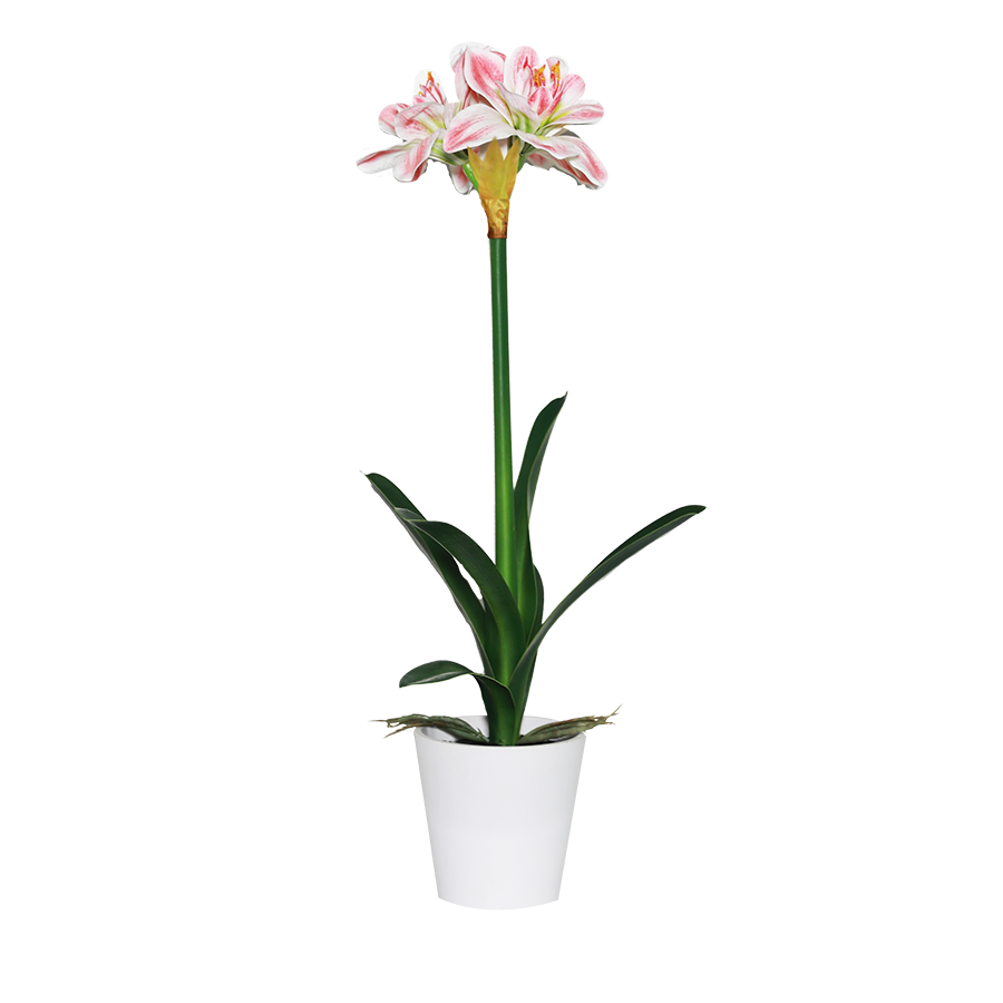 Amarilis Potted Plant 63 cm — Mandaue Foam