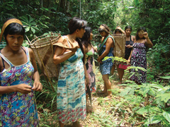 Indigenous women in the forest