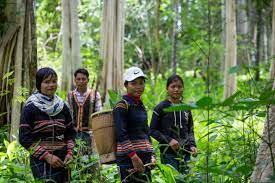 Beautiful Indigenous women in the forest