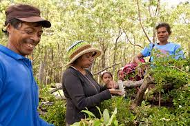 Mama Aleta Buan I Indigenous Women