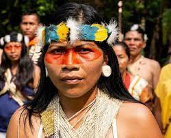 Nemonte Nenquimo Indigenous Activist, Ecuador