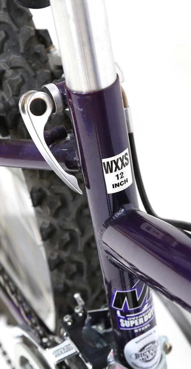 raleigh m20 purple