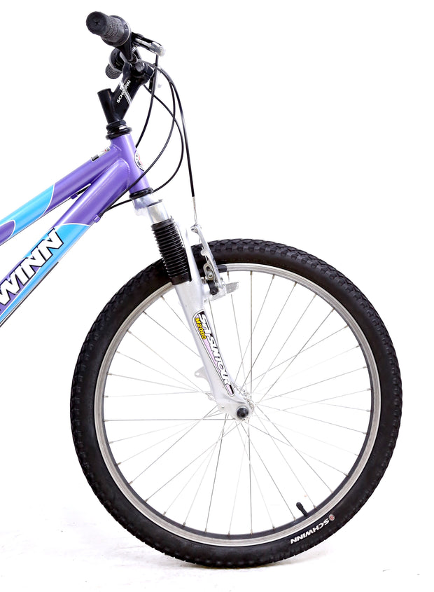 schwinn ranger 24 purple