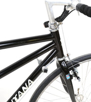 santana visa tandem