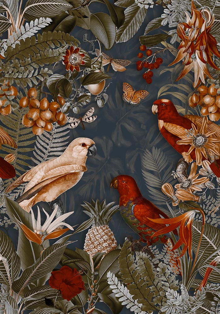 Papageien Midnight Jungle Kunstdruck von Andrea Haase