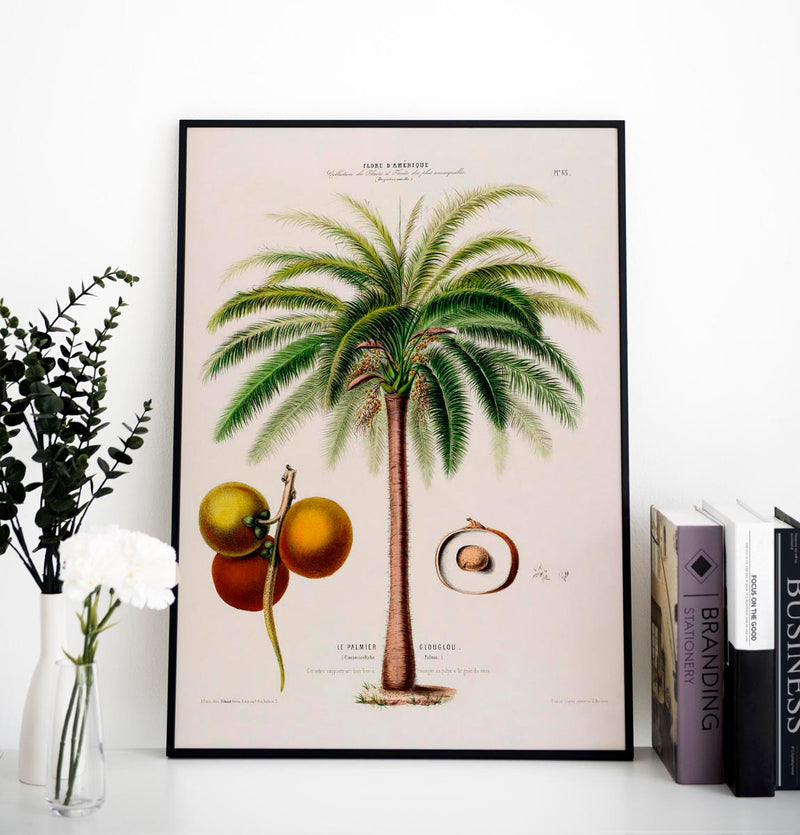 Le Palmier Glouglou Botanical Poster Kuriosis Com