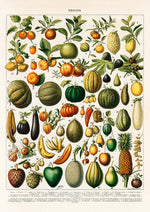 Ensemble de 3 impressions de fruits et légumes