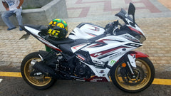2012 Kawasaki Ninja 250 Motorcycle Fairings 16