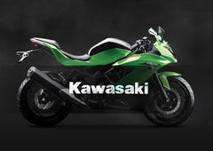 Kawasaki headlight conversion | 12K Motor
