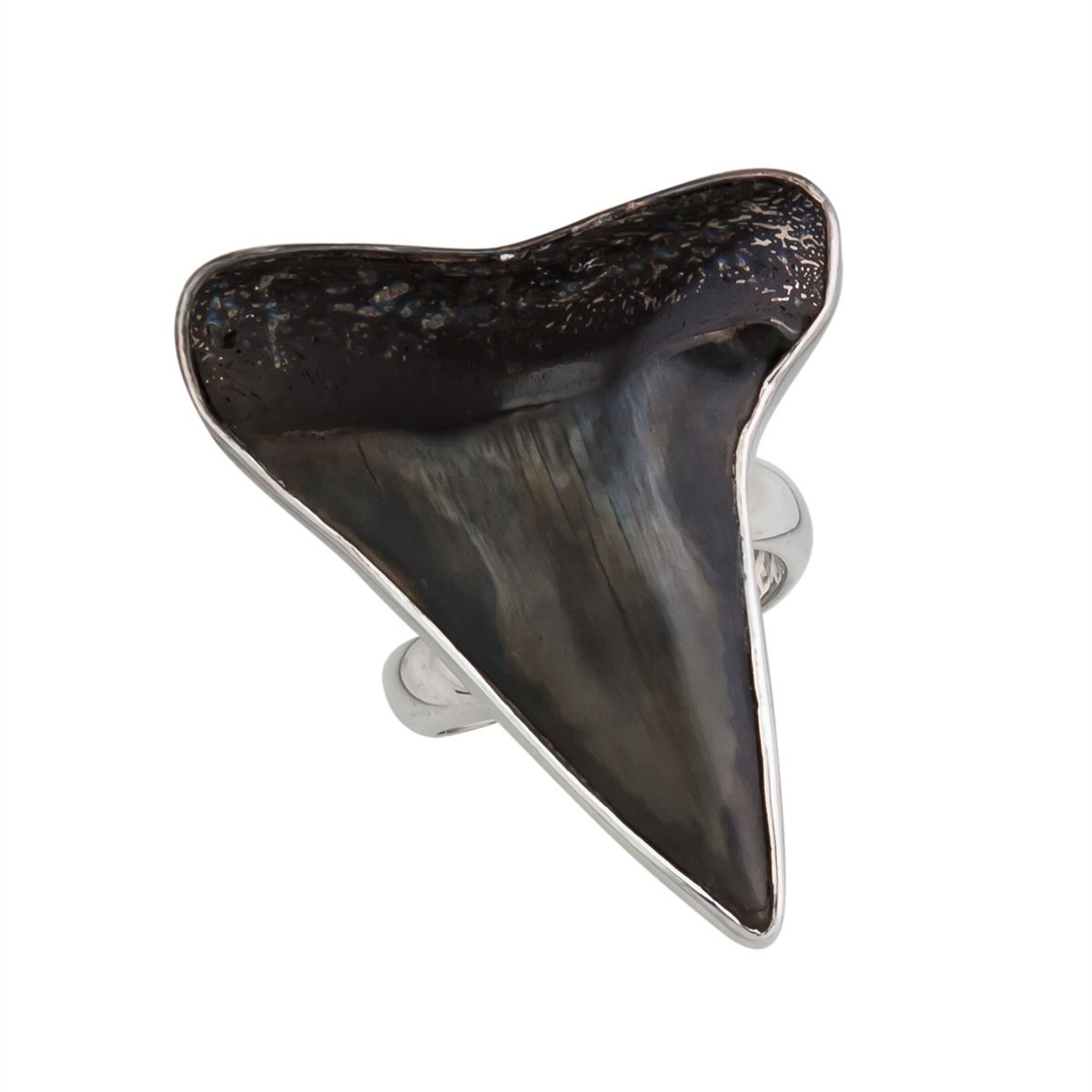 Sterling Silver Fossil Shark Tooth Adjustable Ring - Charles Albert product image