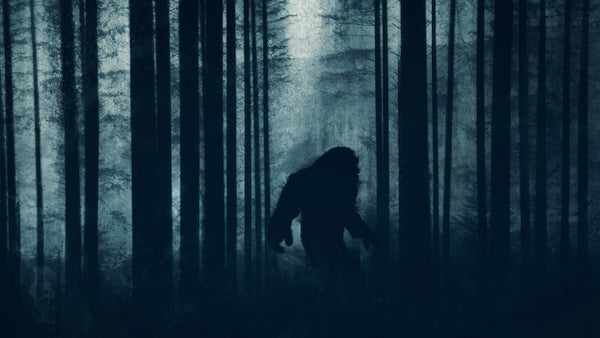 Bigfoot Lurking in Woods