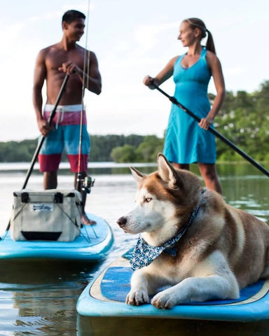 Miranda Kielpinski and Michael Suazo Stand Up Paddling with dog