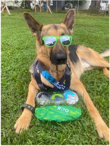 german-shepherd in sunglasses with VJ Shoes