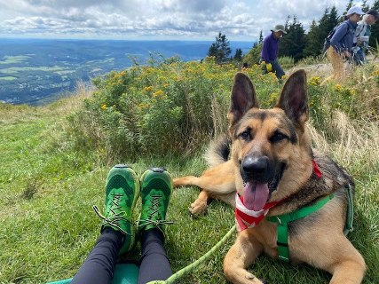 mount-greylock