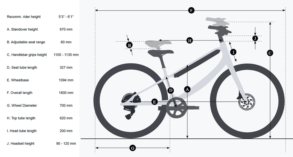 ChordX Size Guide