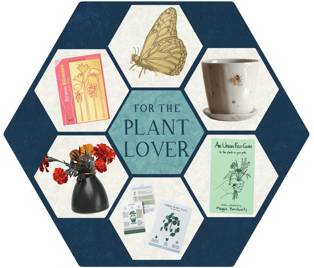 2022 Gift Guide for Plant lovers from apricity ceramics