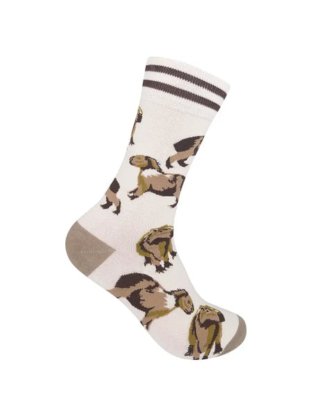 Capybara Socks – The Alpaca Boutique