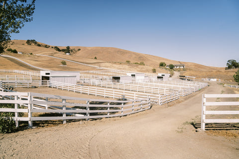 Retirement Pasture Horse Boarding California Willow and Wolf Ranch