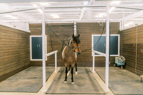 Indoor Grooming Bays Livermore Barn Willow and Wolf Ranch