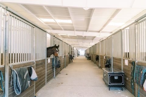 livermore ca horse boarding stables Willow and Wolf Ranch