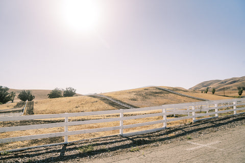 green pastures horse retirement bay area