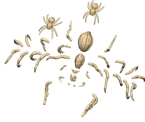 [Image: Giant_Spiders_large.jpeg?v=1589553294]