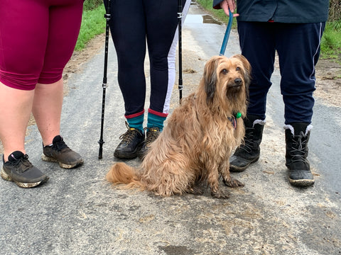 Our training walks will take place in the lanes of East Devon, as will the real thing with the Virtual Walk the Walk Challenge.