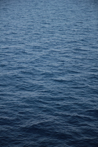 The crew were planning to row across the Atlantic Ocean. Photo by Jason Zeis on Unsplash