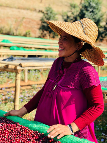 Female Farmer in Hopong Shan State
