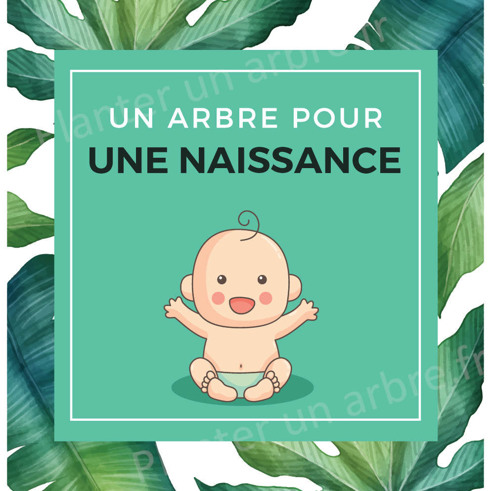 Un Arbre Pour Une Naissance Planter Un Arbre