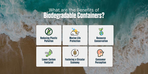 benefits of biodegradable containers